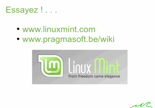 2020_04_06_demo_mintcinna_29
